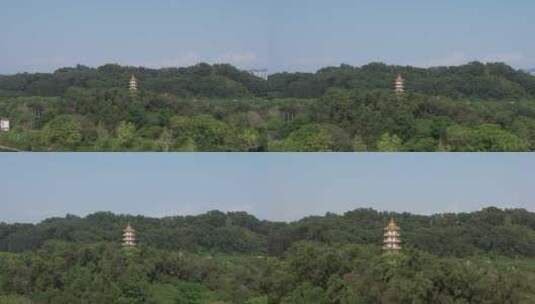 深圳南山区西丽湖（环西丽湖碧道）航拍高清在线视频素材下载