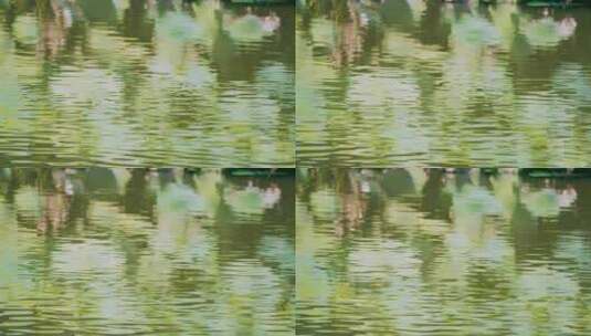 湖泊水波纹高清在线视频素材下载