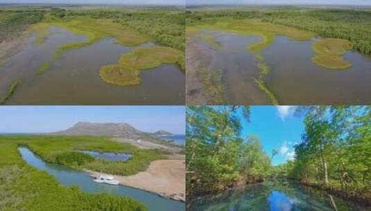 湿地生态【合集】高清在线视频素材下载