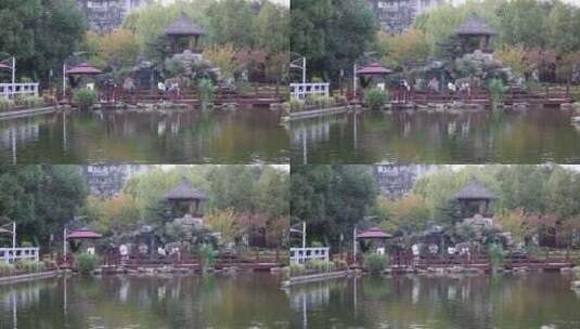 汉中拜将台公园锦理鱼池高清在线视频素材下载