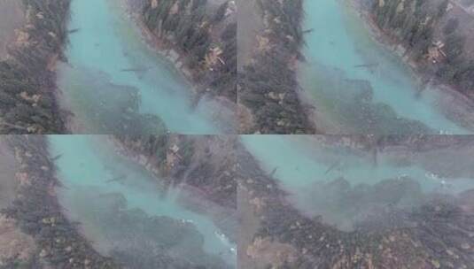 航拍大雪纷飞的新疆喀纳斯河畔秋色高清在线视频素材下载