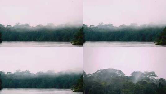 森林云雾天然氧吧清晨山间云雾大自然高清在线视频素材下载