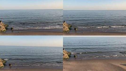海边实拍高清在线视频素材下载