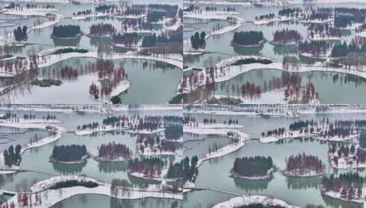 航拍湿地公园雪景树林湖岛高清在线视频素材下载