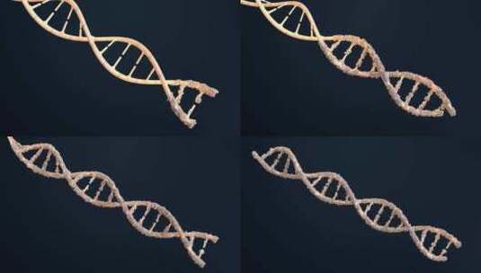 DNA生命科学高清在线视频素材下载