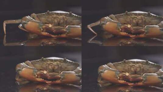 螃蟹高清在线视频素材下载