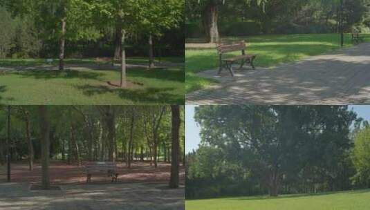 夏天的公园高清在线视频素材下载
