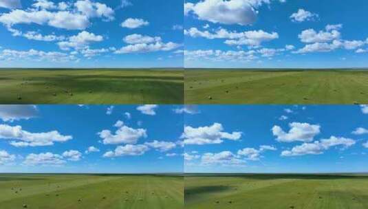 蓝天白云下的呼伦贝尔草原高清在线视频素材下载