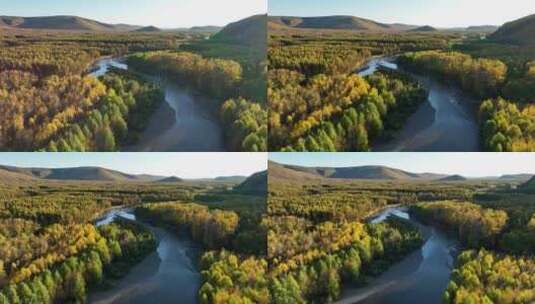 航拍秋季林海河流风光高清在线视频素材下载
