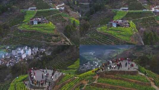 安徽黄山石潭油菜花高清在线视频素材下载