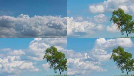 蓝天白云拍摄延时 大自然树木云层高清在线视频素材下载