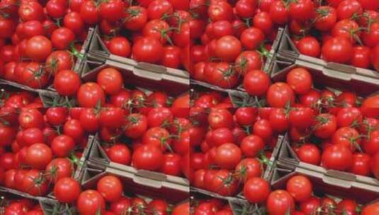 一堆新鲜的西红柿 番茄高清在线视频素材下载