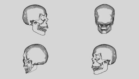 素描风格人类头骨黑白彩色循环动画高清在线视频素材下载