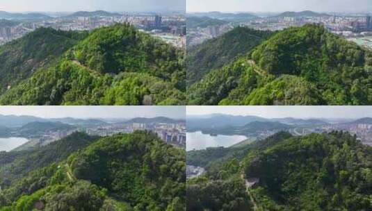 4K深圳市光明大雁山森林公园9高清在线视频素材下载