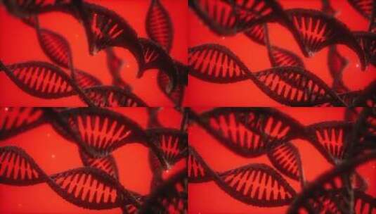 旋转的DNA与分子结构3D渲染高清在线视频素材下载