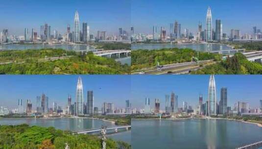 4K深圳湾鸬鹚生态航拍35高清在线视频素材下载