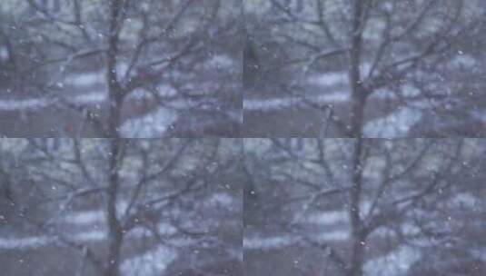冬季飘落的雪花背景慢动作高清在线视频素材下载