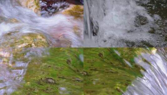 杭州植物园小溪流水风景视频素材高清在线视频素材下载