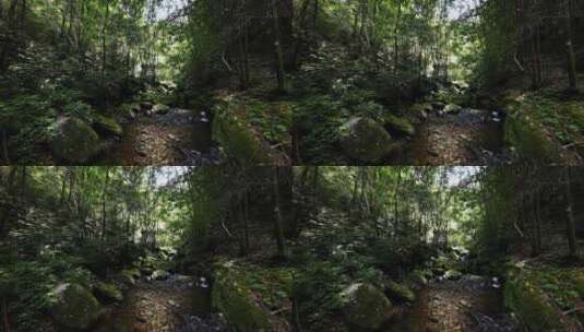 低角度拍摄桂林大山峡谷中的森林瀑布溪流高清在线视频素材下载