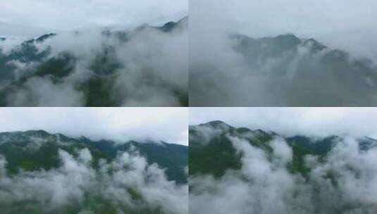 大山云雾 生态环境 云雾缭绕 仙境高清在线视频素材下载