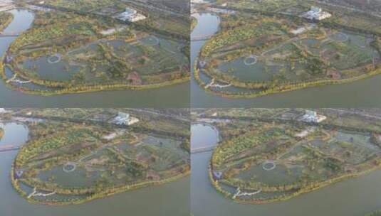 广州海珠湿地公园高清在线视频素材下载