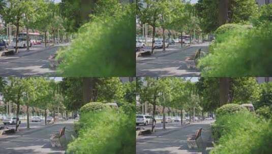 成都城市公园夏季绿色城市环境高清在线视频素材下载