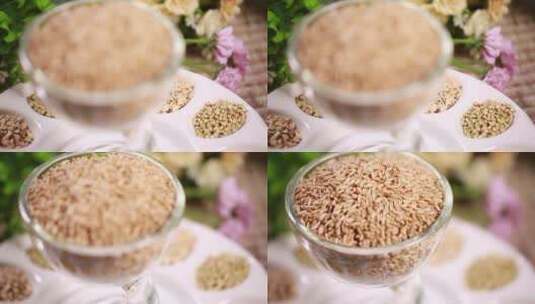 燕麦荞麦藜麦各种粗粮杂粮高清在线视频素材下载