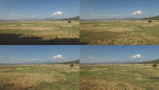 草原天际线景观高清在线视频素材下载