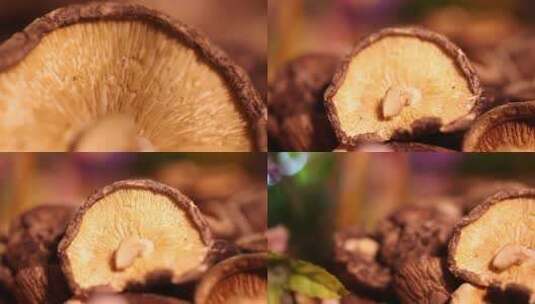 【镜头合集】干香菇干货食材增香高清在线视频素材下载