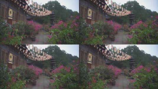 杭州上天竺法喜讲寺风景高清在线视频素材下载