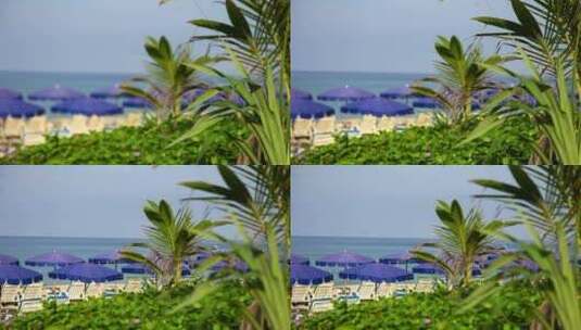 有雨伞和植被的热带海滩高清在线视频素材下载