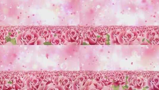 母亲节花海温馨粉色背景视频素材高清在线视频素材下载