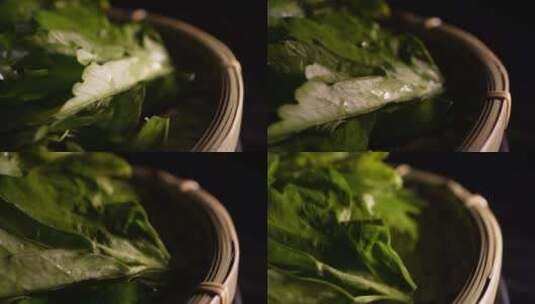 绿叶蔬菜芹菜叶菜叶子高清在线视频素材下载