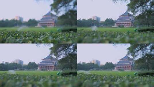 广州中山纪念堂花园草坪绿树自然风光高清在线视频素材下载