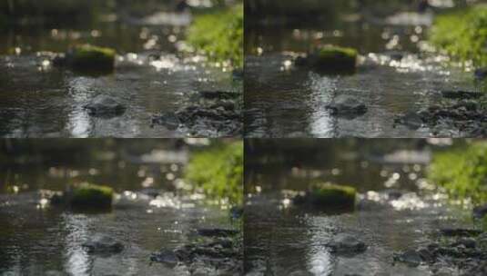 波光粼粼的溪水高清在线视频素材下载