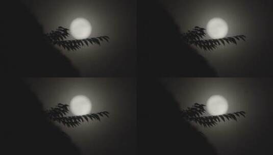 月亮意境 圆月 月光 月色高清在线视频素材下载