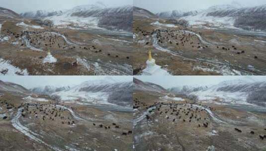 青海果洛州玛沁县雪山乡自然风光航拍高清在线视频素材下载