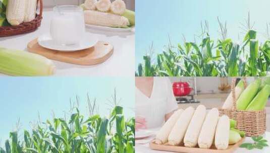 牛奶玉米高清在线视频素材下载