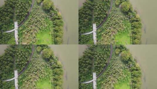 广州城市湿地公园航拍高清在线视频素材下载