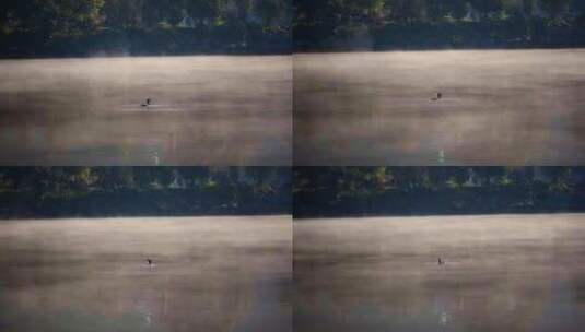 早晨云雾缭绕的湖面高清在线视频素材下载