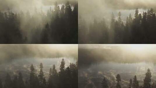 航拍山林中的大雾高清在线视频素材下载