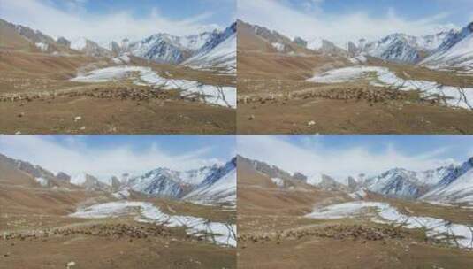 雪山下的羊群高清在线视频素材下载