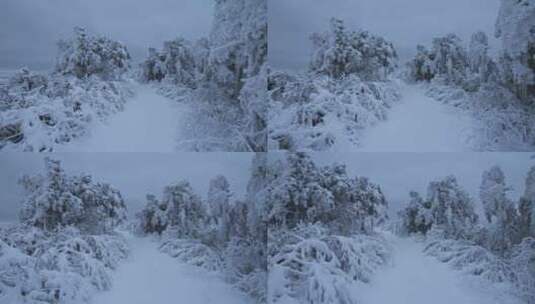 杭州临安大明山牵牛岗森林雪景云海航拍高清在线视频素材下载