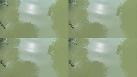 湖面树木倒影自然风光  4k高清在线视频素材下载