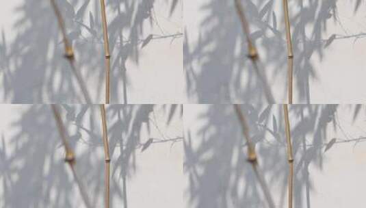 4k白色墙面竹叶竹子婆娑写意空镜高清在线视频素材下载