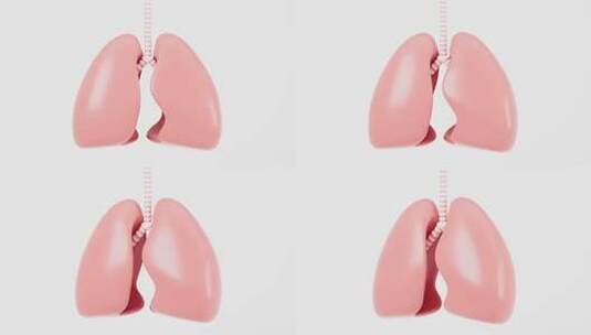 肺部呼吸膨胀收缩动画高清在线视频素材下载