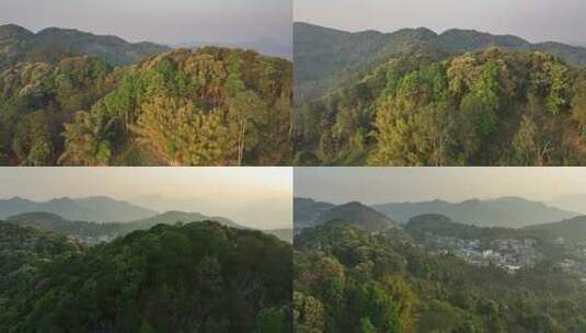 【4k】茶山森林航拍高清在线视频素材下载