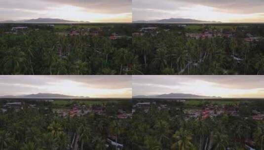 夕阳下的椰子树村庄高清在线视频素材下载