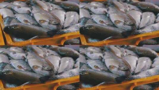 海鲜鱼类素材高清在线视频素材下载