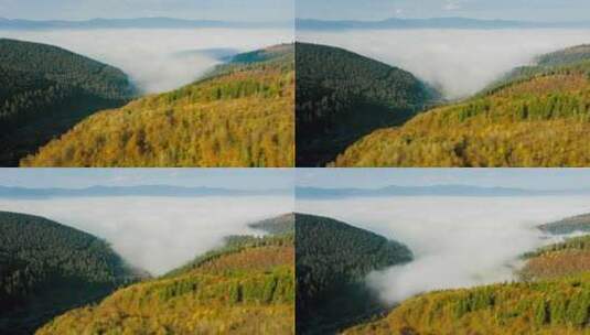 云雾缭绕的山林高清在线视频素材下载